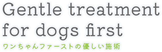 Gentle treatment for dogs first ワンちゃんファーストの優しい施術